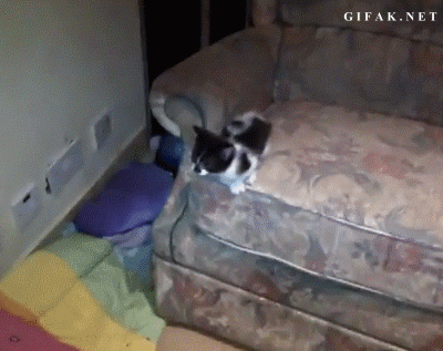 a-perfect-landing-on-the-worst-target