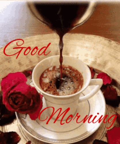 073973151b24fd6c6cc285a0222a3792.gif