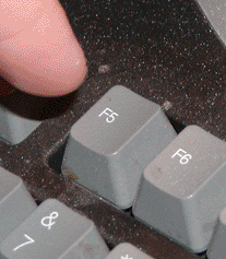QJeImuO.gif