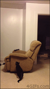 IbjO8.gif