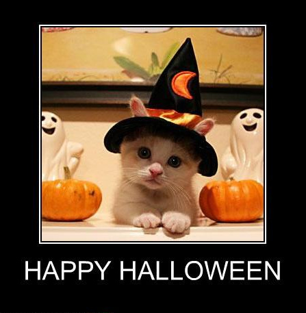 Halloween_Kitteh_5591.jpg