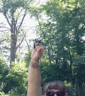 giphy.gif