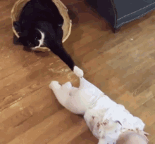 funny-fun.gif
