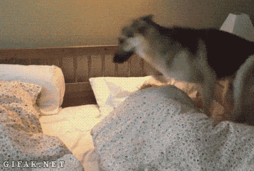d259739eccd7e7223c2cdbafe572909e.gif