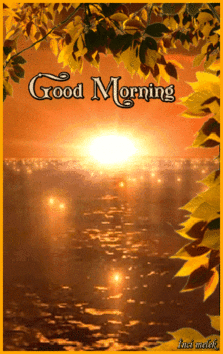 d481c35a02785093da10b52c0adcd11e.gif