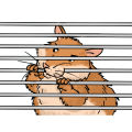 hamster_bars_300-120x120.jpg