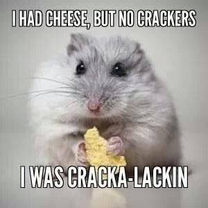 5e55d69b77f140c0d864da728af1e7f7.jpg