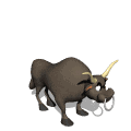 animated-bull-image-0008.gif