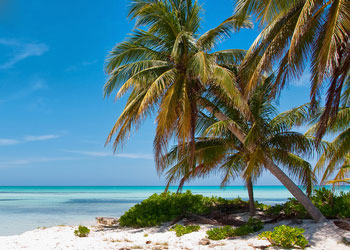 grand-cayman-rum-point.jpg