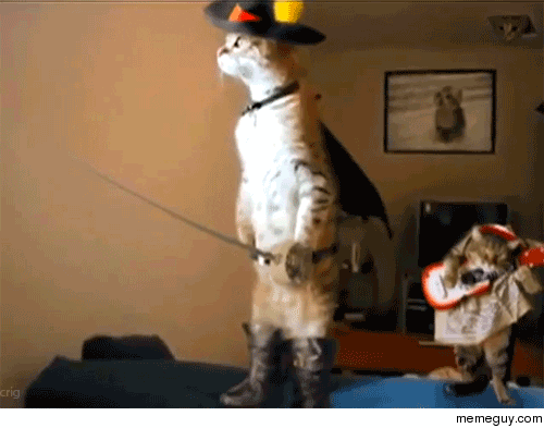 giphy.gif