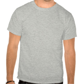 porcupine_costume_t_shirt-r6d91c57a6f474d9d83483241331c0b3b_804gr_324.jpg