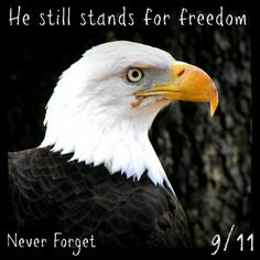 233b90e53f7eb49712e0aacbbcf6ce40.jpg