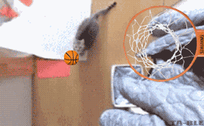 XqE7.gif