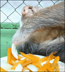 carrots-are-boring