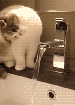 f703b5381e3f9125bdd534aeeba013c5.gif
