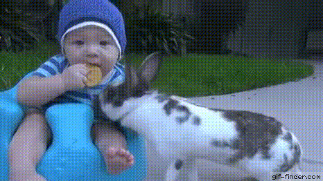 Q5vq.gif