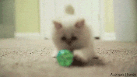 little-ball-master