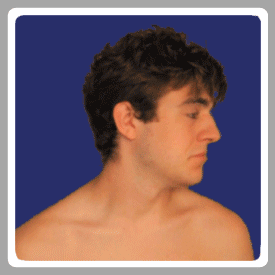 ani_beard-slap-2.gif