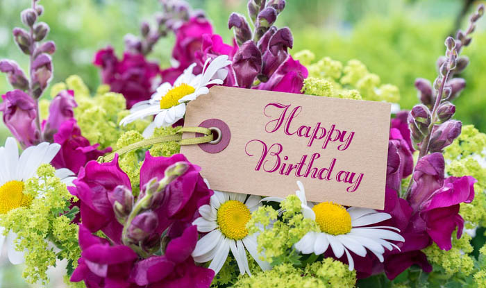 5 Most Preferred Birthday Flowers You Must Try Surprising Your Loved One  with!