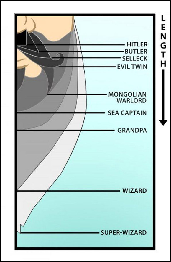 beard-length-chart.jpg
