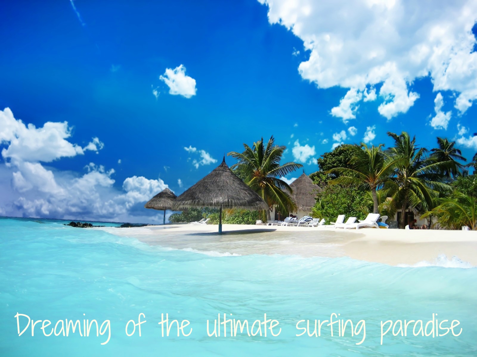 paradise-04.jpg