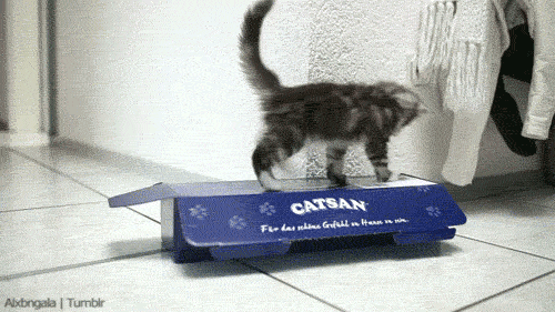 slide_352204_3811521_free.gif