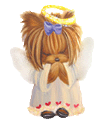yorkie+angel.gif