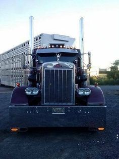 fd07d5b7c3022b2f2216ea4cc5da4bf0.jpg