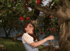 200_s.gif