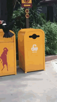 bird-recycle.gif