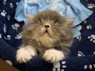 too-tired