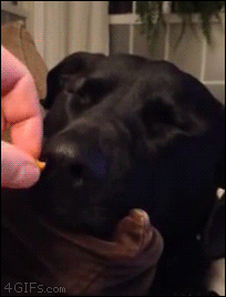 smell-the-food-and-wake-up