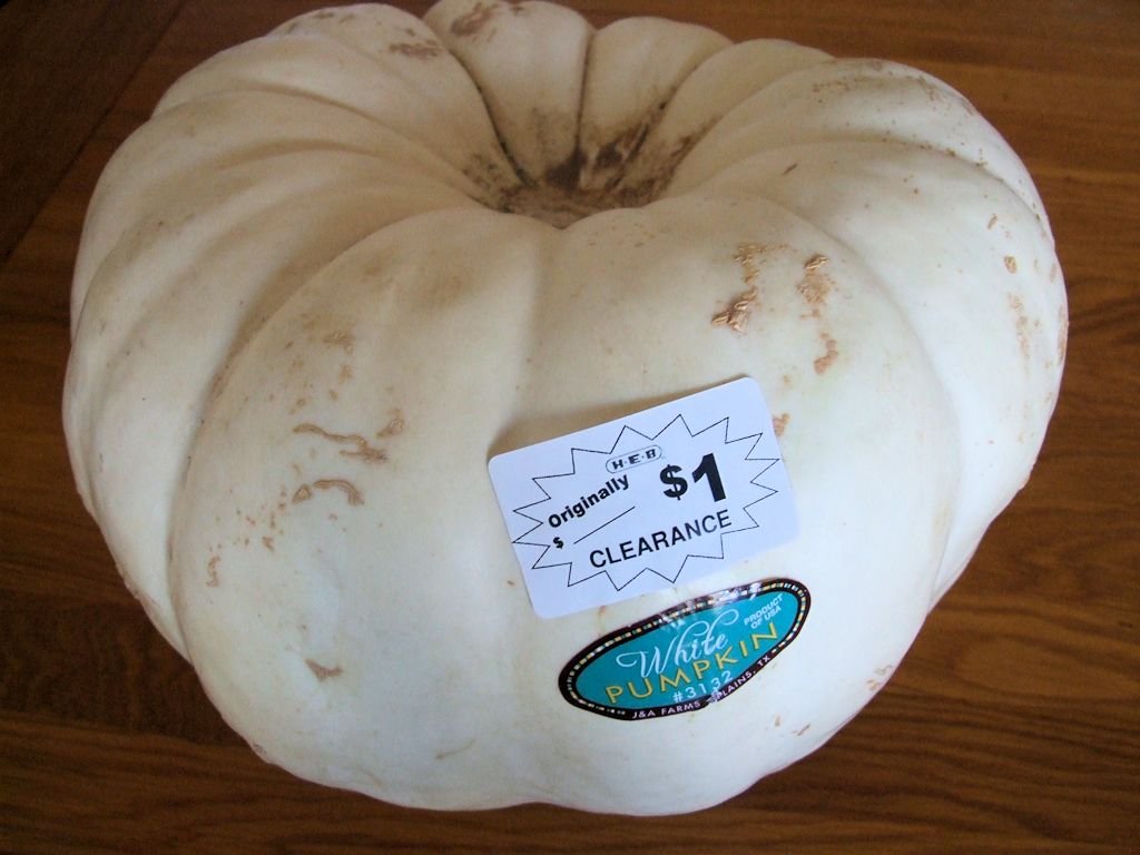 Pumpkin-Bargains.jpg
