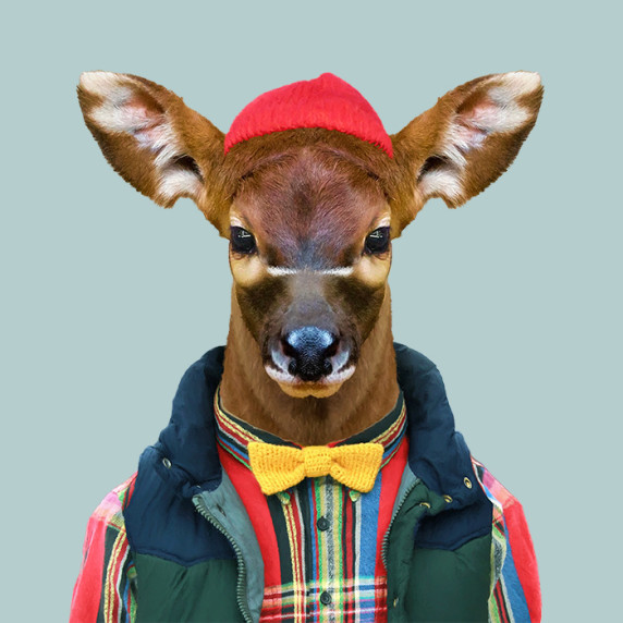 funny-animals-portraits-wear-human-dress-20.jpg