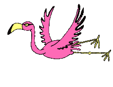 Flamingo_flies.gif