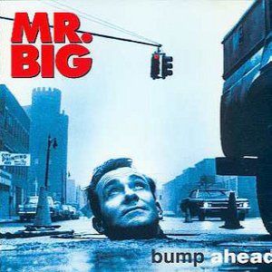 2088_mrbig_bump_ahead.jpg