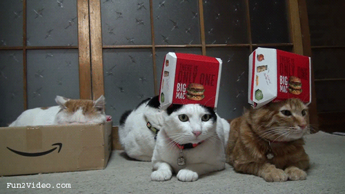 48ec46235ca221c217ca00a1bbb5324f.gif