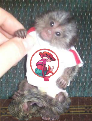 monkeyshirt_edited-1.jpg