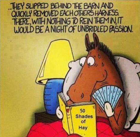 toon_50-shades-of-hay.jpg