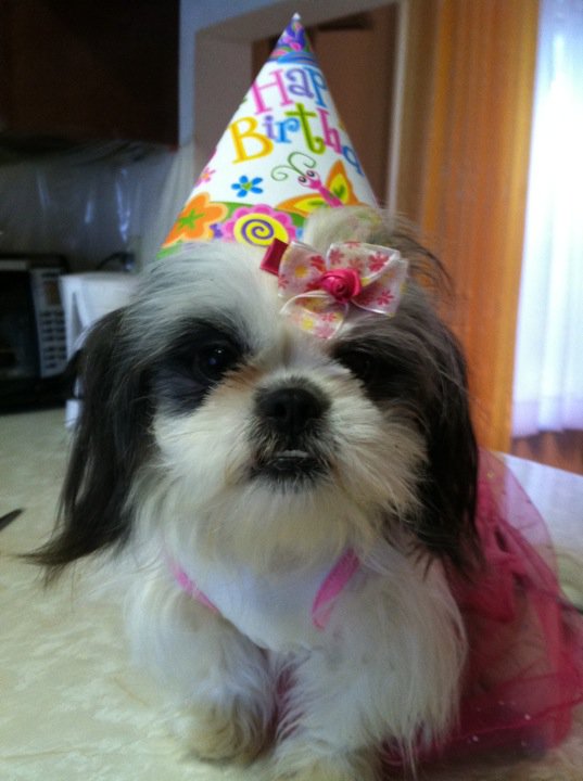 1stBirthday.jpg