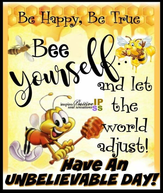 08e8aa36284e832c10b6bc8c0ff72629.jpg