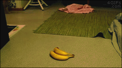 self-defence-against-fresh-fruit