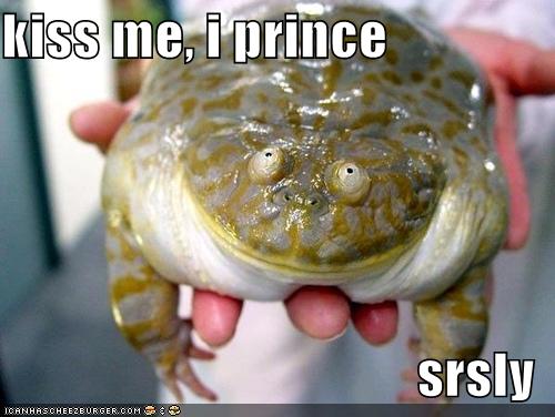 funnypicturesfrogprincekiss.jpg