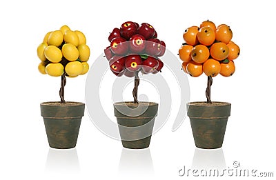 lemon-apple-orange-tree-2329728.jpg