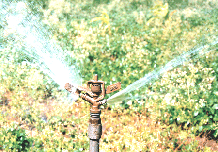 Sprinkler.gif