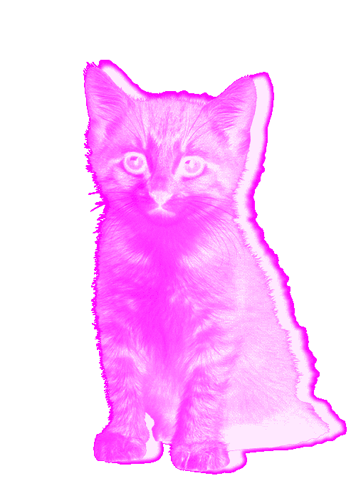 giphy.gif