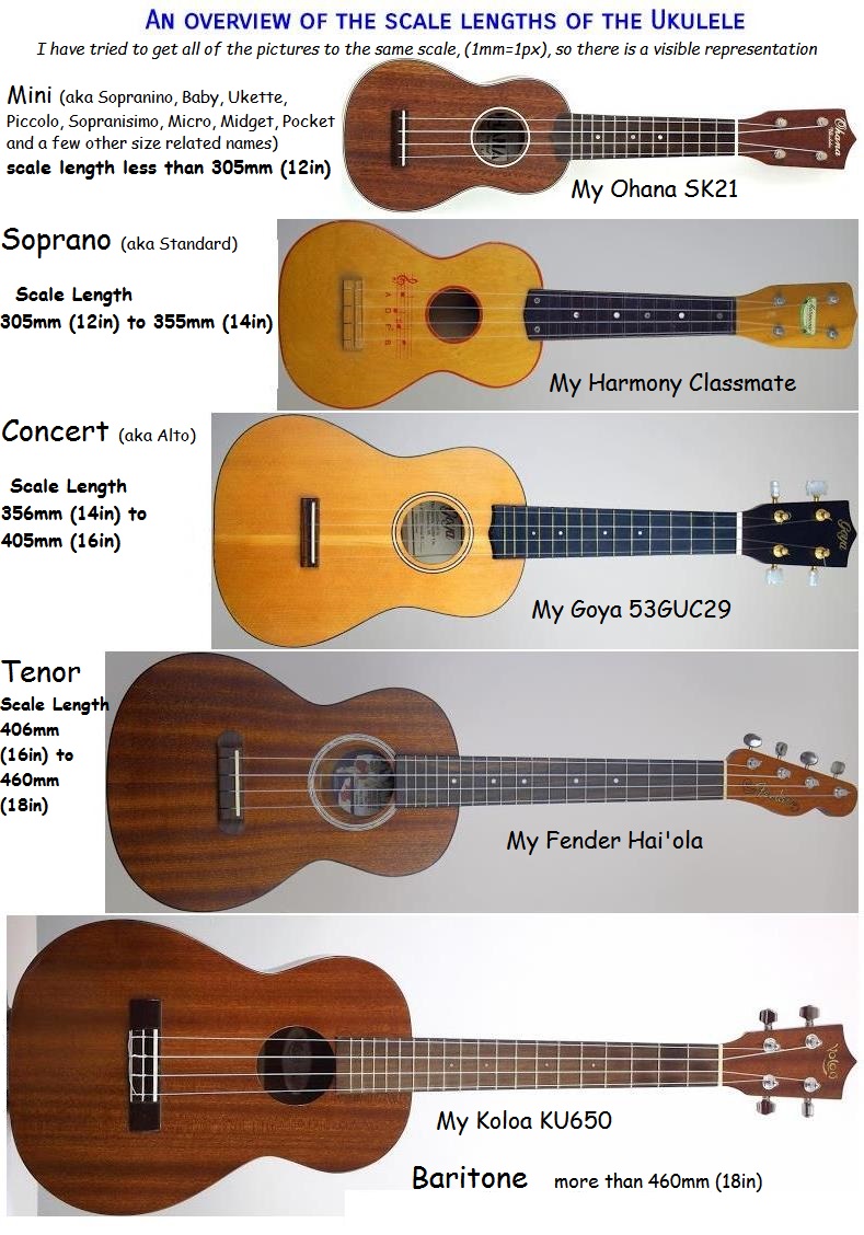 Uke_sizes_and_scale_lengths.jpg
