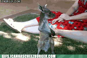 BkUfBQ4GeU6l00ZdLpbKRg2.gif