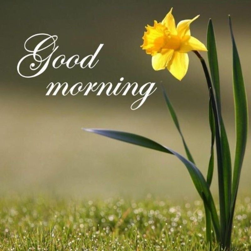 e4aada81465691690dd0d3caffd8246a.jpg