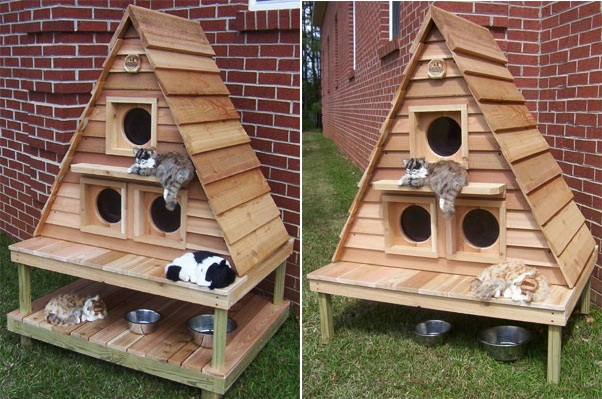 cat-houses-1.jpg